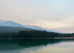 What are your thoughts on Google Analytics vs other analytics platforms?